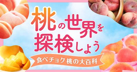 桃樹種類|【桃の世界を探検しよう】桃の品種40種類を特徴ごと。